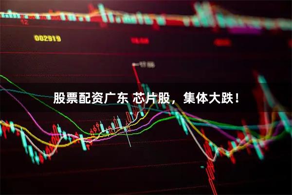 股票配资广东 芯片股，集体大跌！