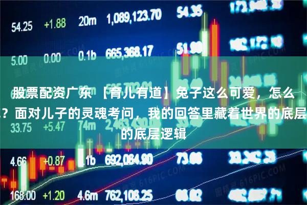股票配资广东 【育儿有道】兔子这么可爱，怎么能吃？面对儿子的灵魂考问，我的回答里藏着世界的底层逻辑